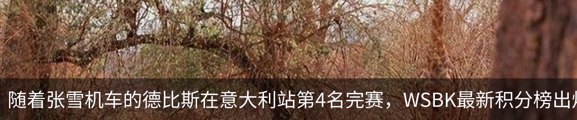 内页banner